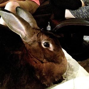 Meet your Posher, Ed